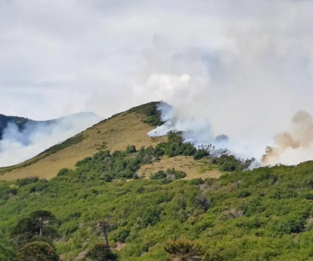 Captura de pantalla 2025-02-04 205458