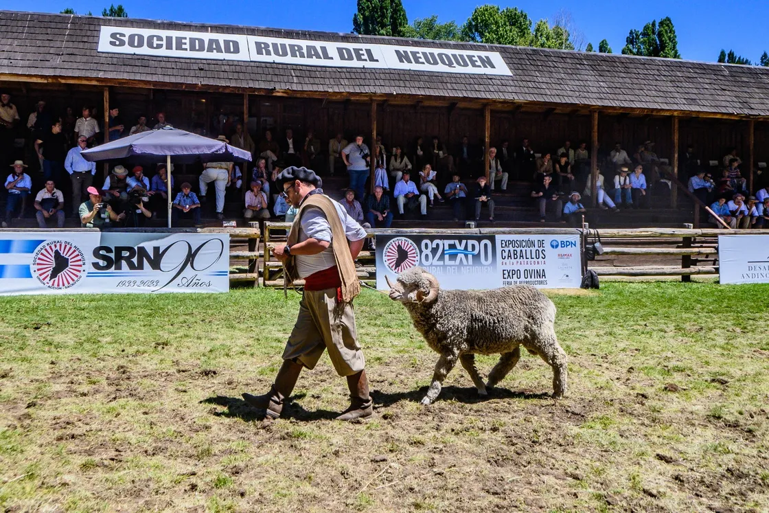 Gacetilla Expo Rural 2026