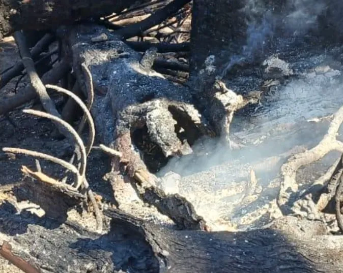 Captura de pantalla 2025-03-12 111057