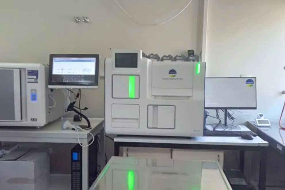 md - 2026-02-13T095959.649