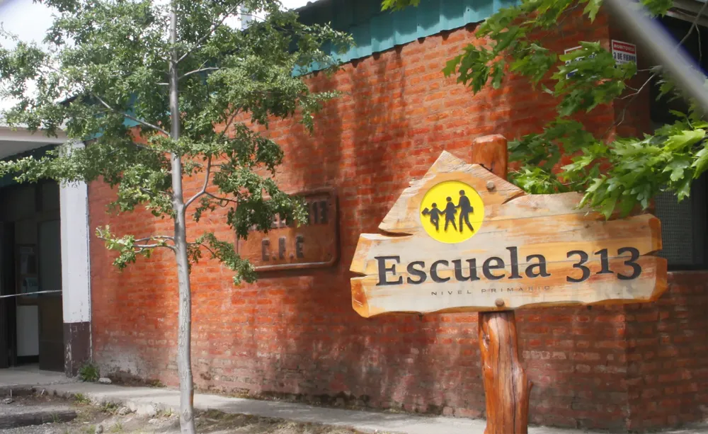 escuela 313
