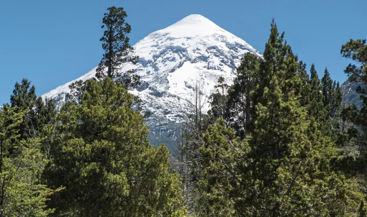 Captura de pantalla 2024-10-08 201506