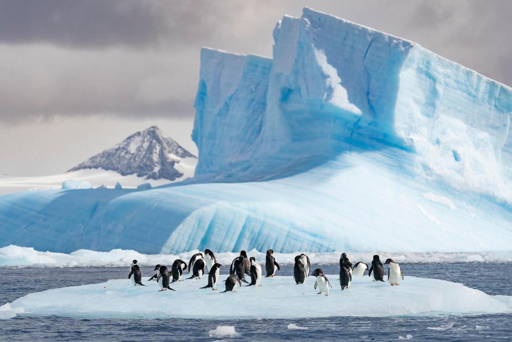 antartida 3