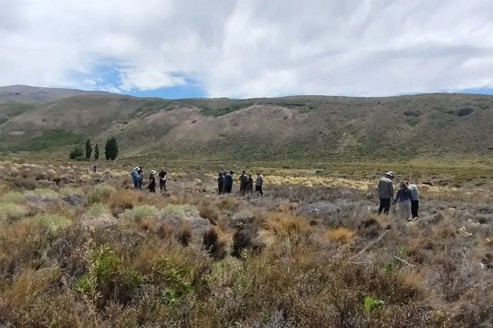 md - 2025-12-31T090922.864