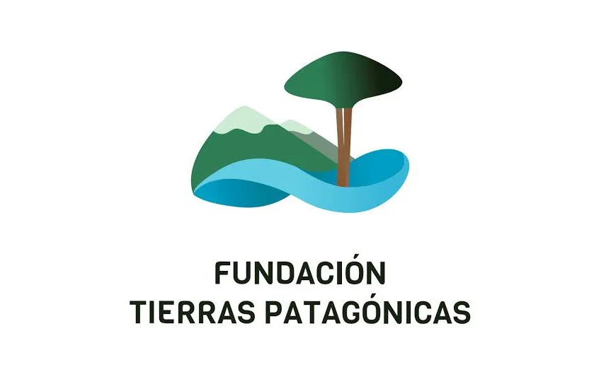 fundacion
