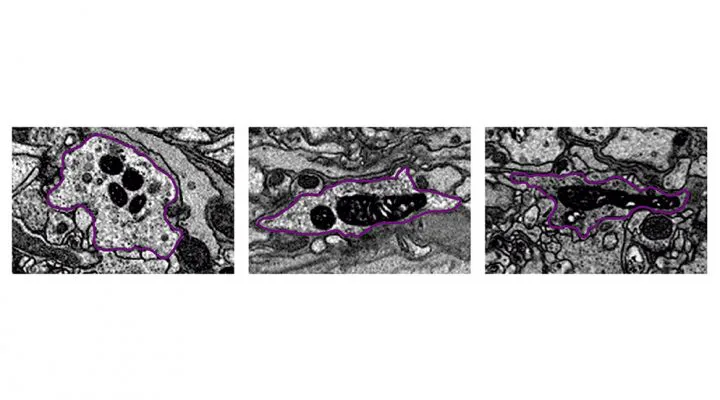 000-web-13-4-720x400