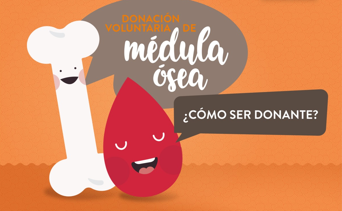donacion medula