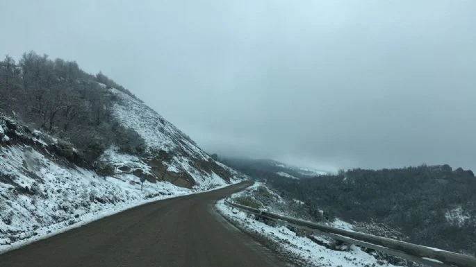Ruta 19