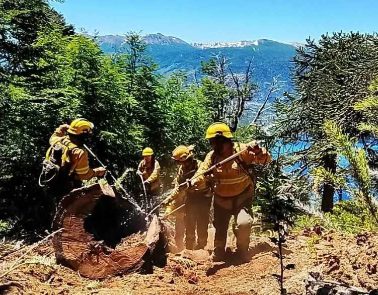 Captura de pantalla 2024-12-22 203842