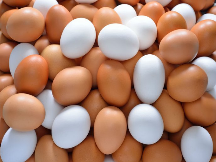 huevos