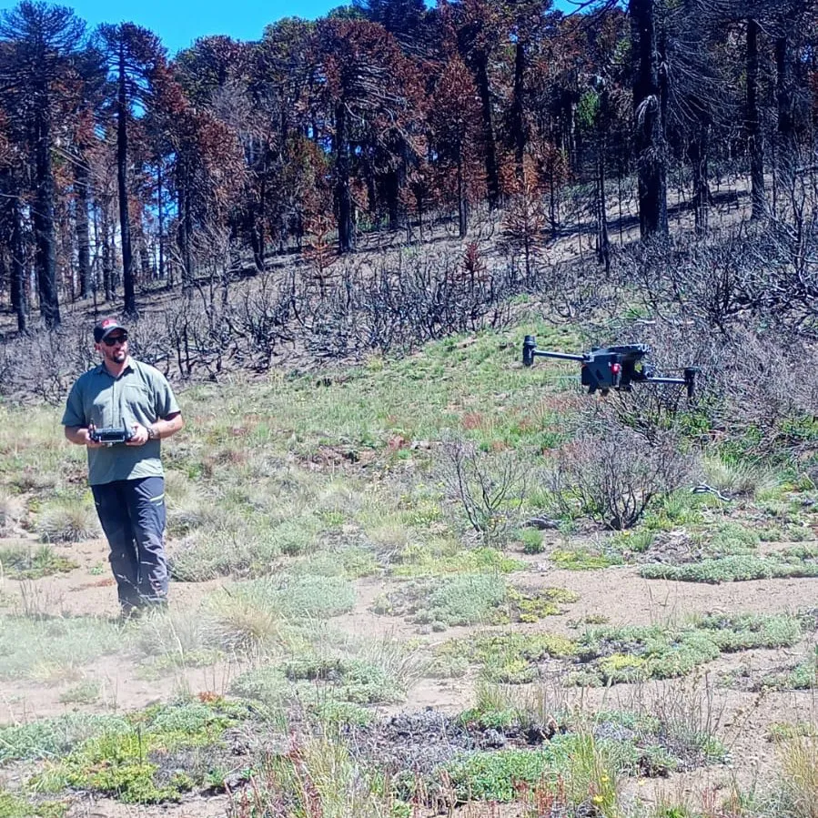 607989202_1169895801989567_7568786464803200822_n