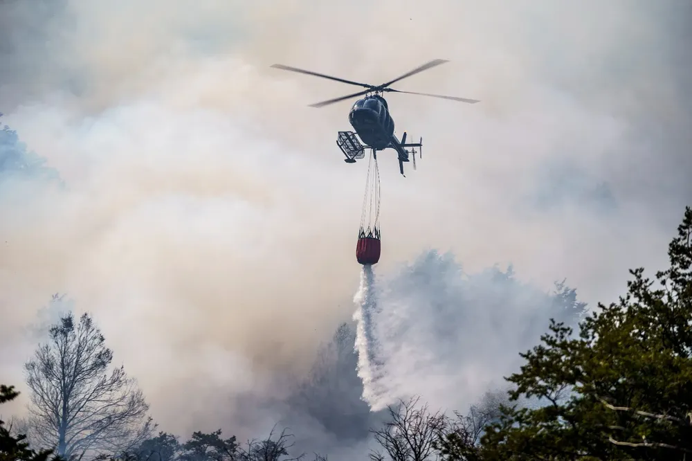 Imagen de WhatsApp 2025-02-03 a las 21.49.23_aaaa3c81