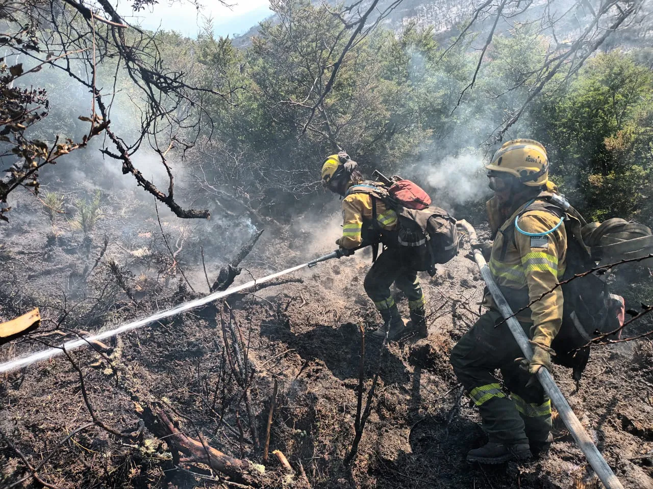 480609738_930655522580264_4141867672627660179_n