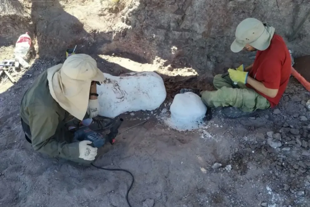 md - 2026-02-13T094724.892