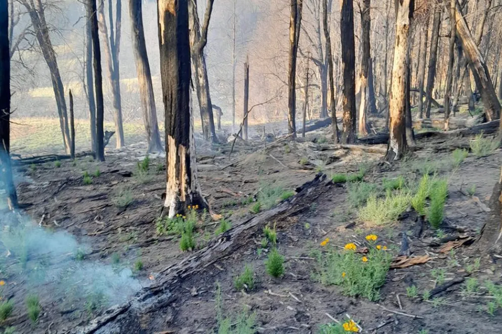 md - 2026-01-28T104331.131