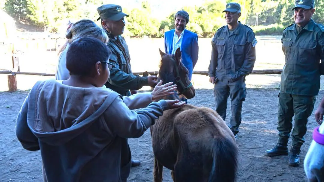 475812107_9100947766667963_7755733862694544900_n