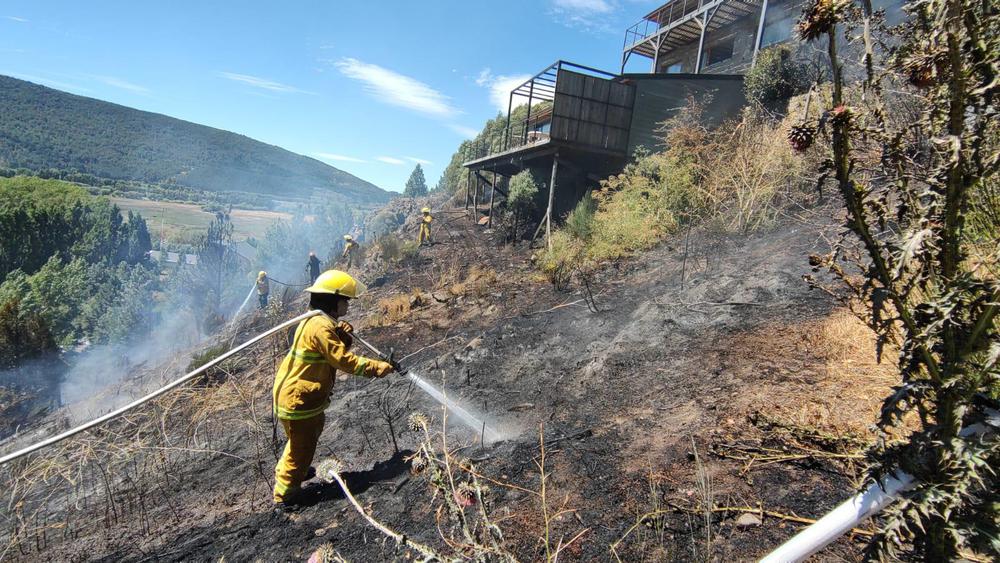 Imagen de WhatsApp 2024-02-01 a las 11.58.46_7f4da4e5