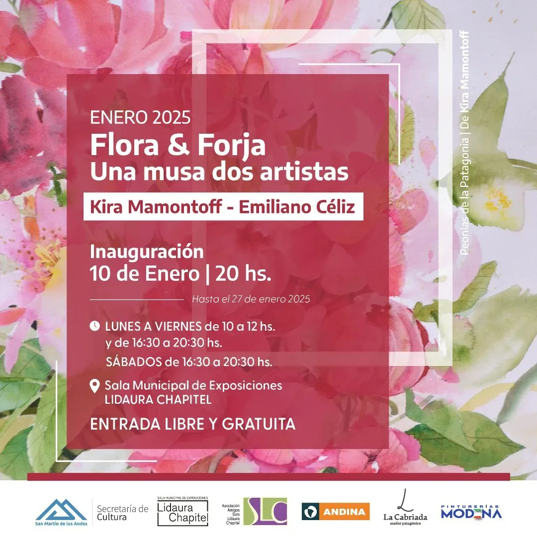 Imagen de WhatsApp 2025-01-06 a las 10.44.32_1a2bbd8b