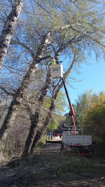 Imagen de WhatsApp 2025-11-07 a las 07.50.59_4dc93f20