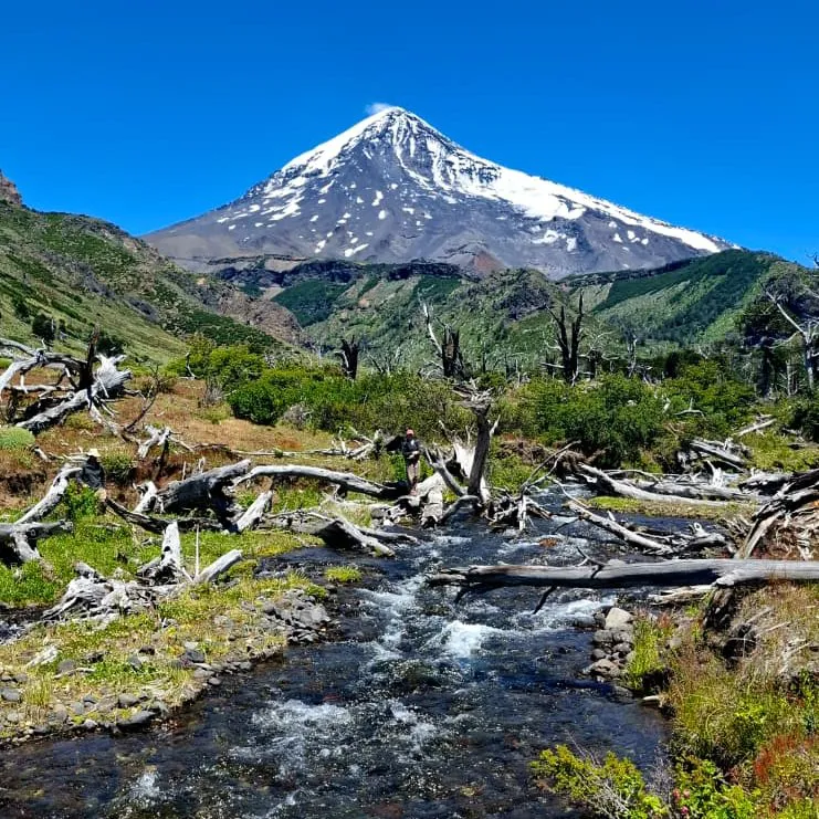 601859392_1165083305804150_5500286363013520148_n