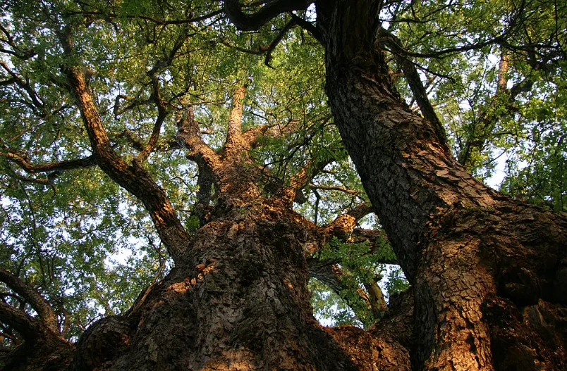 Captura de pantalla 2025-01-28 094523