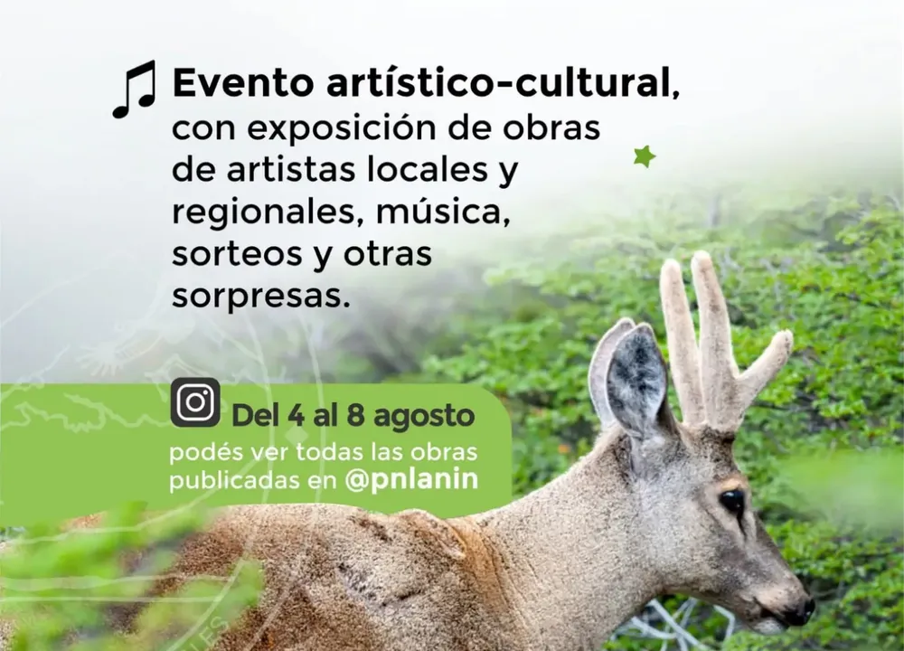 Imagen de WhatsApp 2025-07-28 a las 12.04