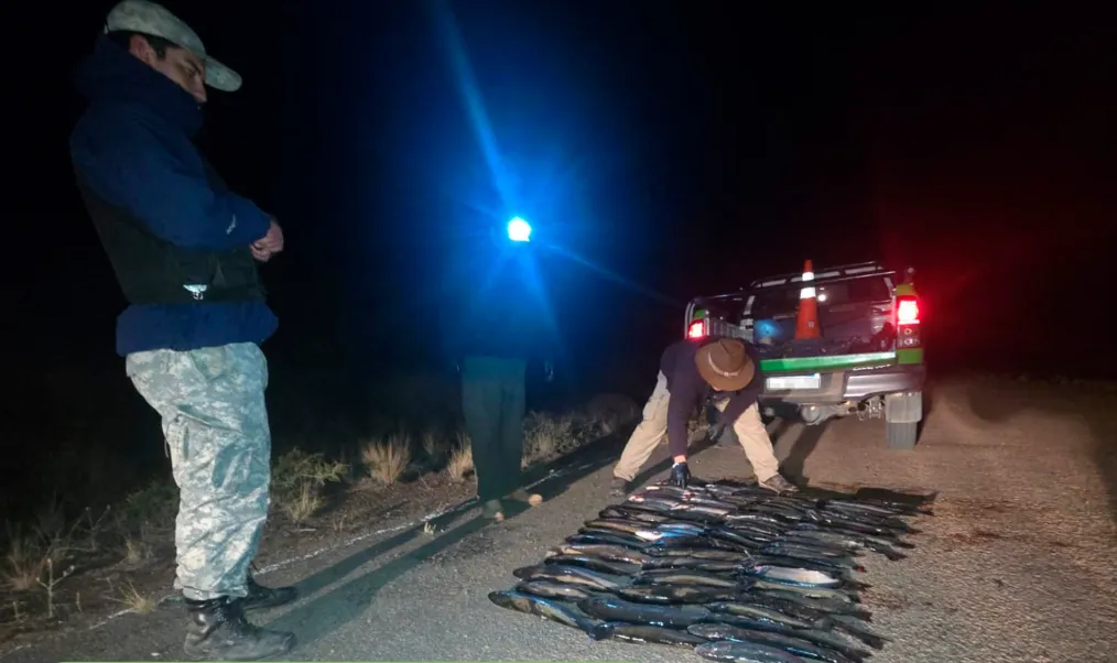 Captura de pantalla 2025-04-06 125754