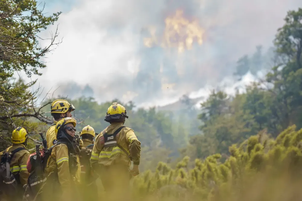 Imagen de WhatsApp 2025-02-03 a las 21.49.22_3b6f02f2