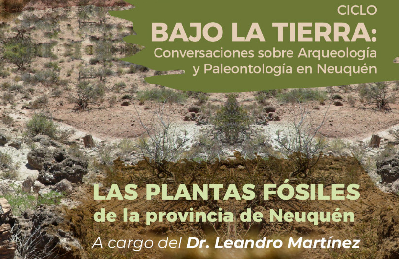 bajo la tierra