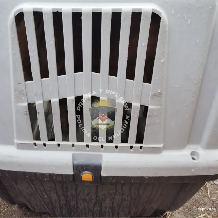 461719365_947514194073818_7491556611587712301_n