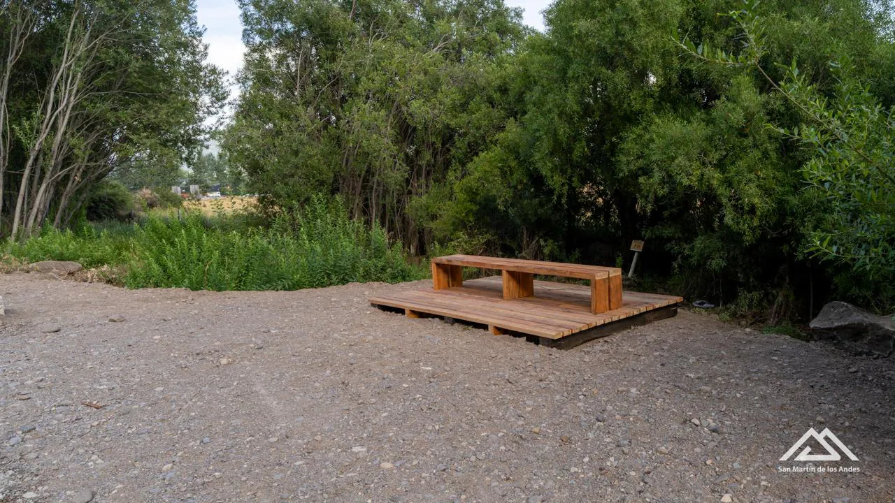 WhatsApp-Image-2026-01-27-at-12.54.26-PM1