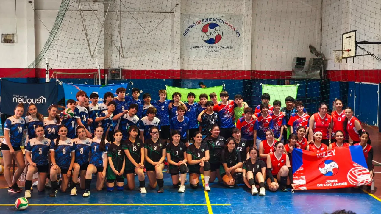 WhatsApp Image 2025-11-19 at 07.12.47