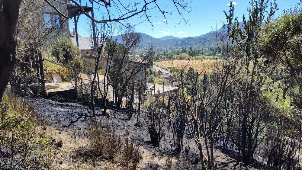 Imagen de WhatsApp 2024-02-01 a las 11.58.47_c99743be