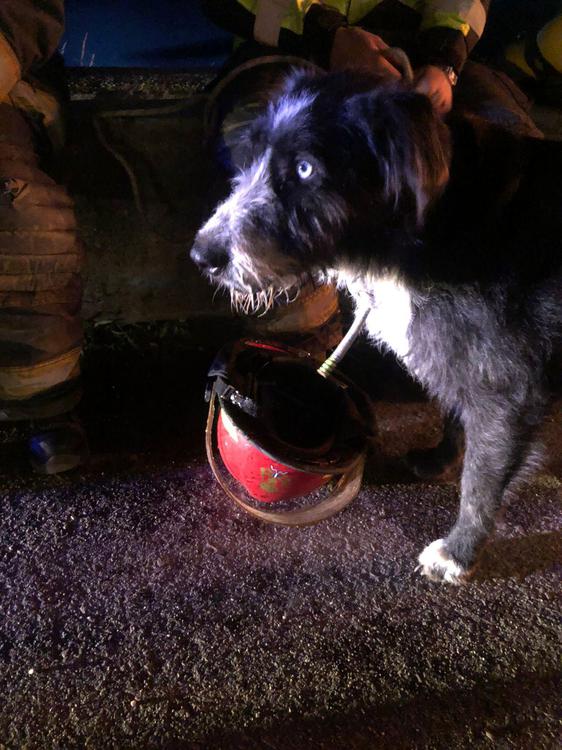 Imagen de WhatsApp 2024-07-29 a las 12.28.35_d03003bf