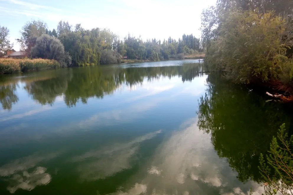 md - 2026-02-04T083404.263