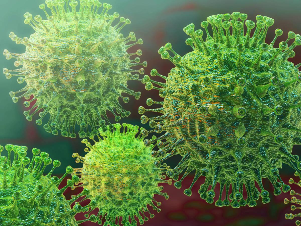 coronavirus4