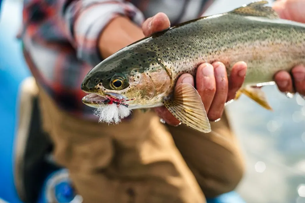 pesca con mosca