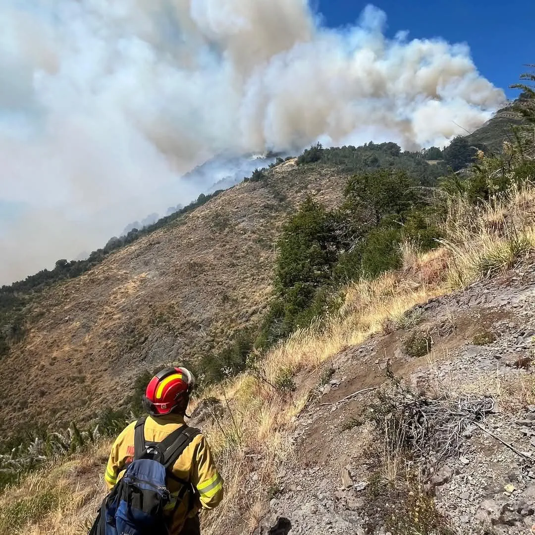 Imagen de WhatsApp 2025-02-09 a las 19.39.39_be103455