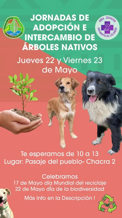 Imagen de WhatsApp 2025-05-08 a las 15.17.53_51121a18