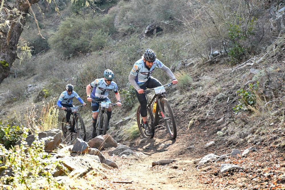 Tetra Chapelco mountain bike_FTA0675