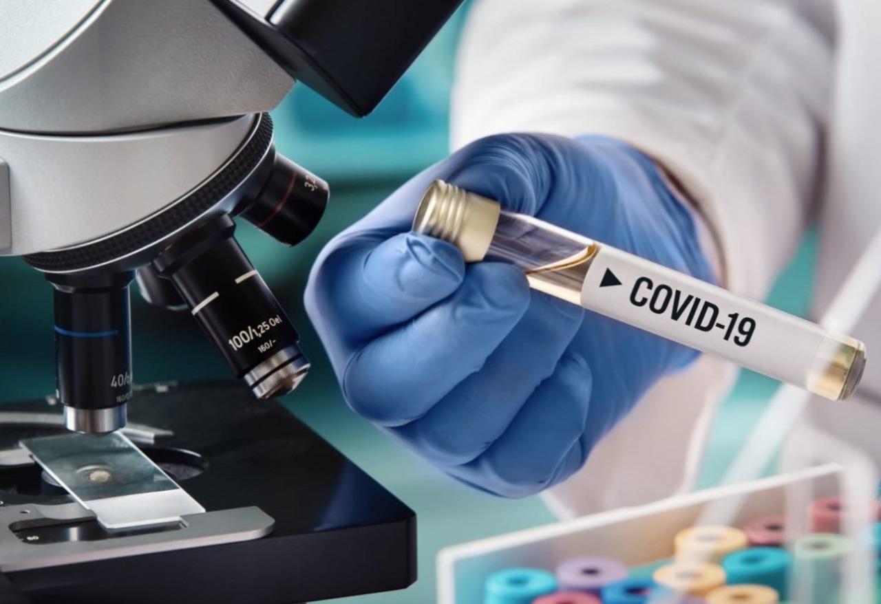 covid 19