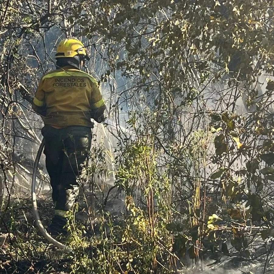 Imagen de WhatsApp 2025-01-07 a las 21.45.04_22427d5e