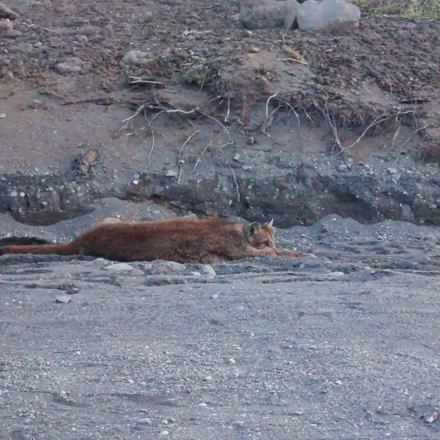 520092536_1044088061237009_3711003232097841431_n