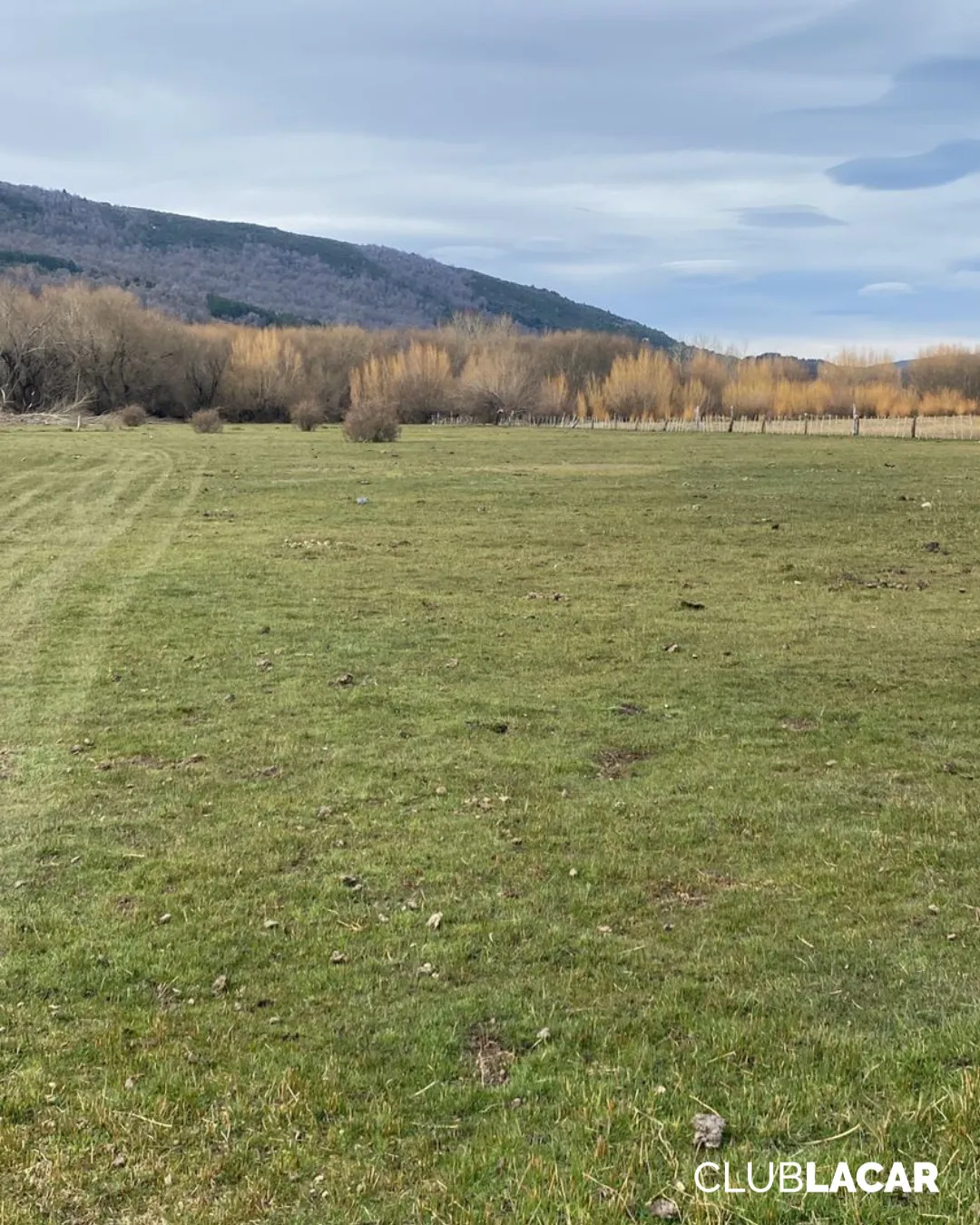 Imagen de WhatsApp 2024-10-14 a las 07.46.54_ac9e78c2