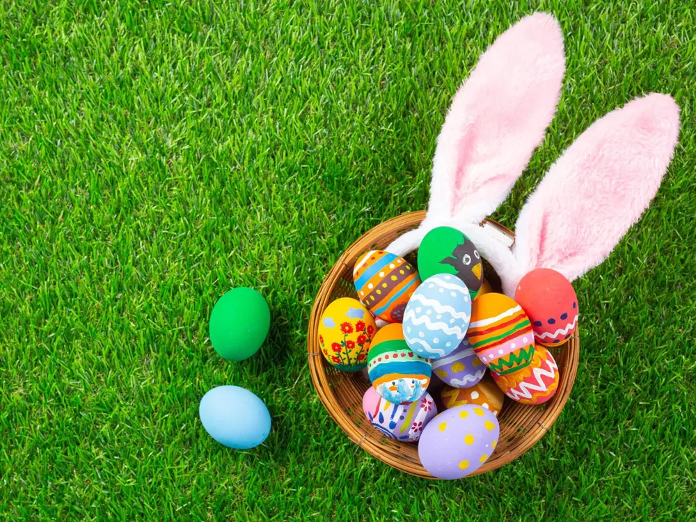 571954114_177539904_1706x1280