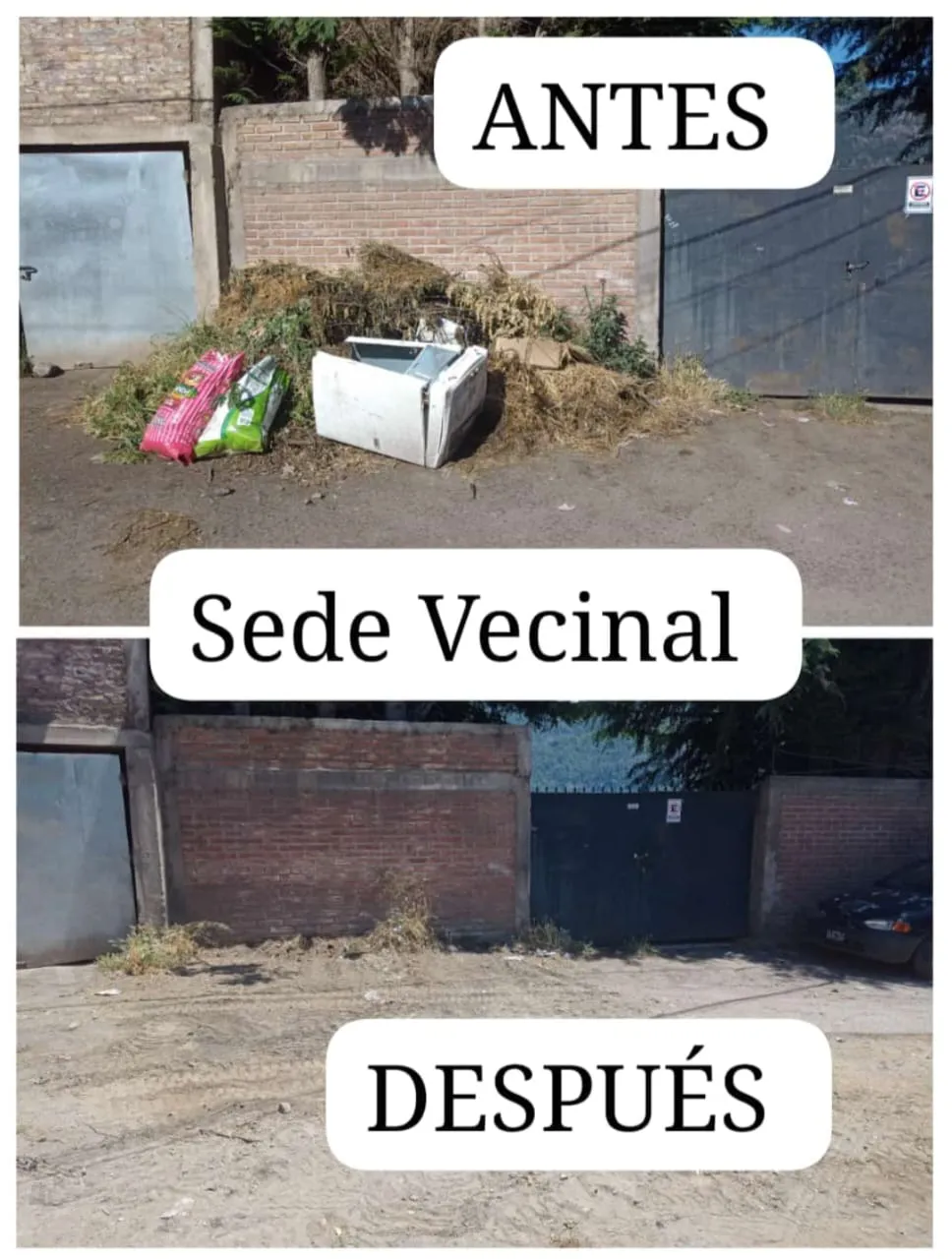 Imagen de WhatsApp 2024-12-19 a las 09.05.04_07f0b399