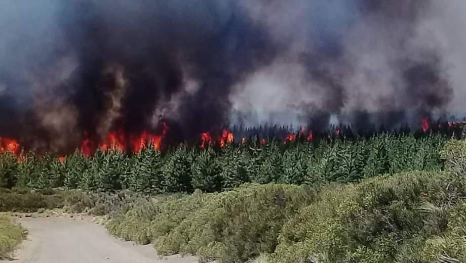 incencio forestal