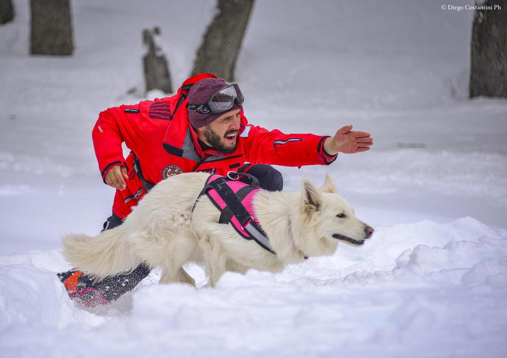 CHAPELCO ADIESTRAMIENTO PERROS DE RESCATE 20210914-DAC_2784