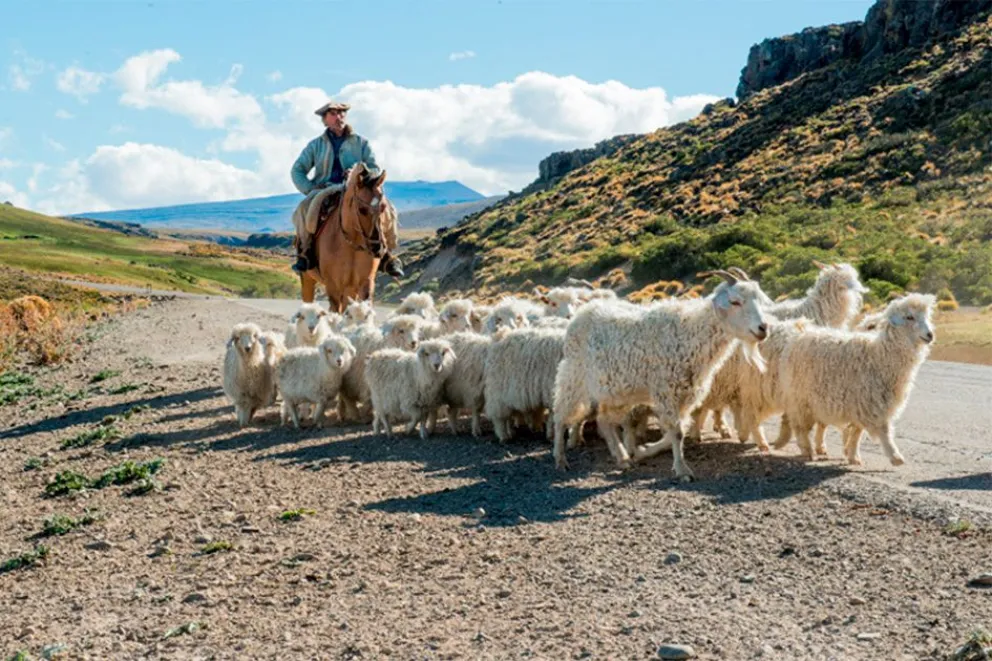 md - 2025-12-15T092204.583