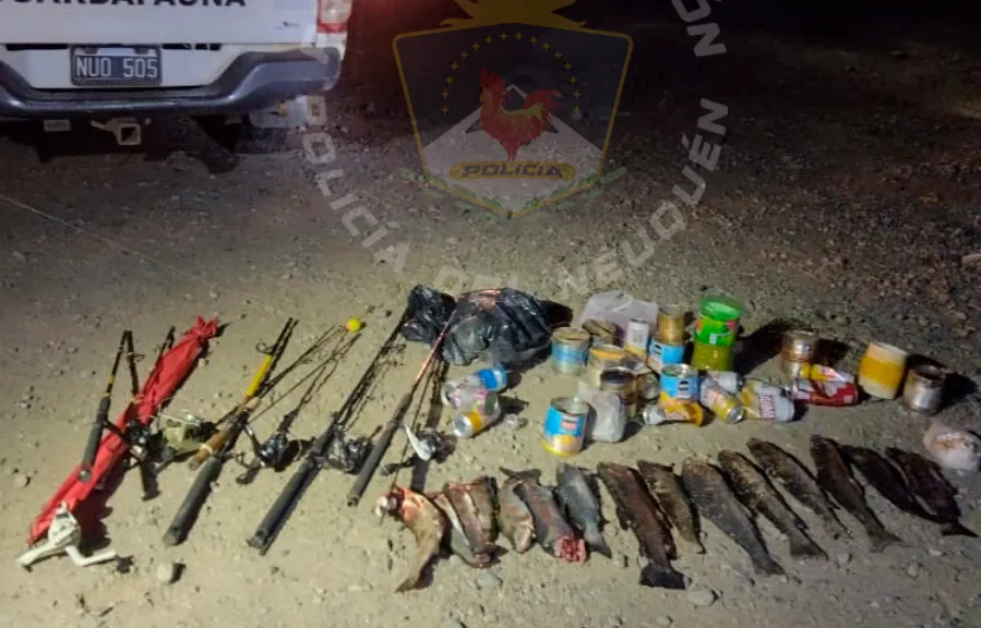 Captura de pantalla 2025-02-16 235934